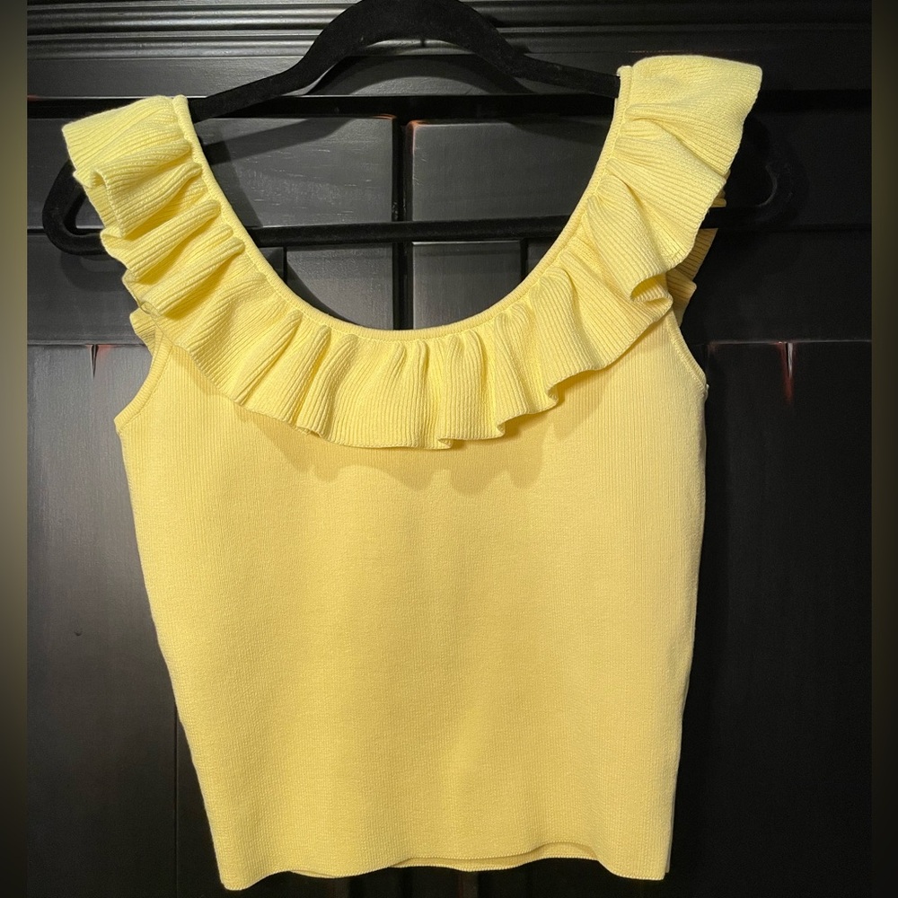 Endless Rose Ruffle Neck Knit Top Size XS